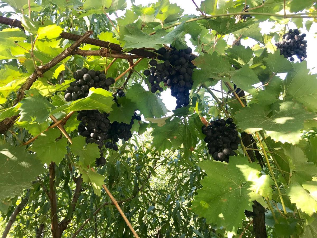 Ekas Rosengarten Gori Exteriör bild