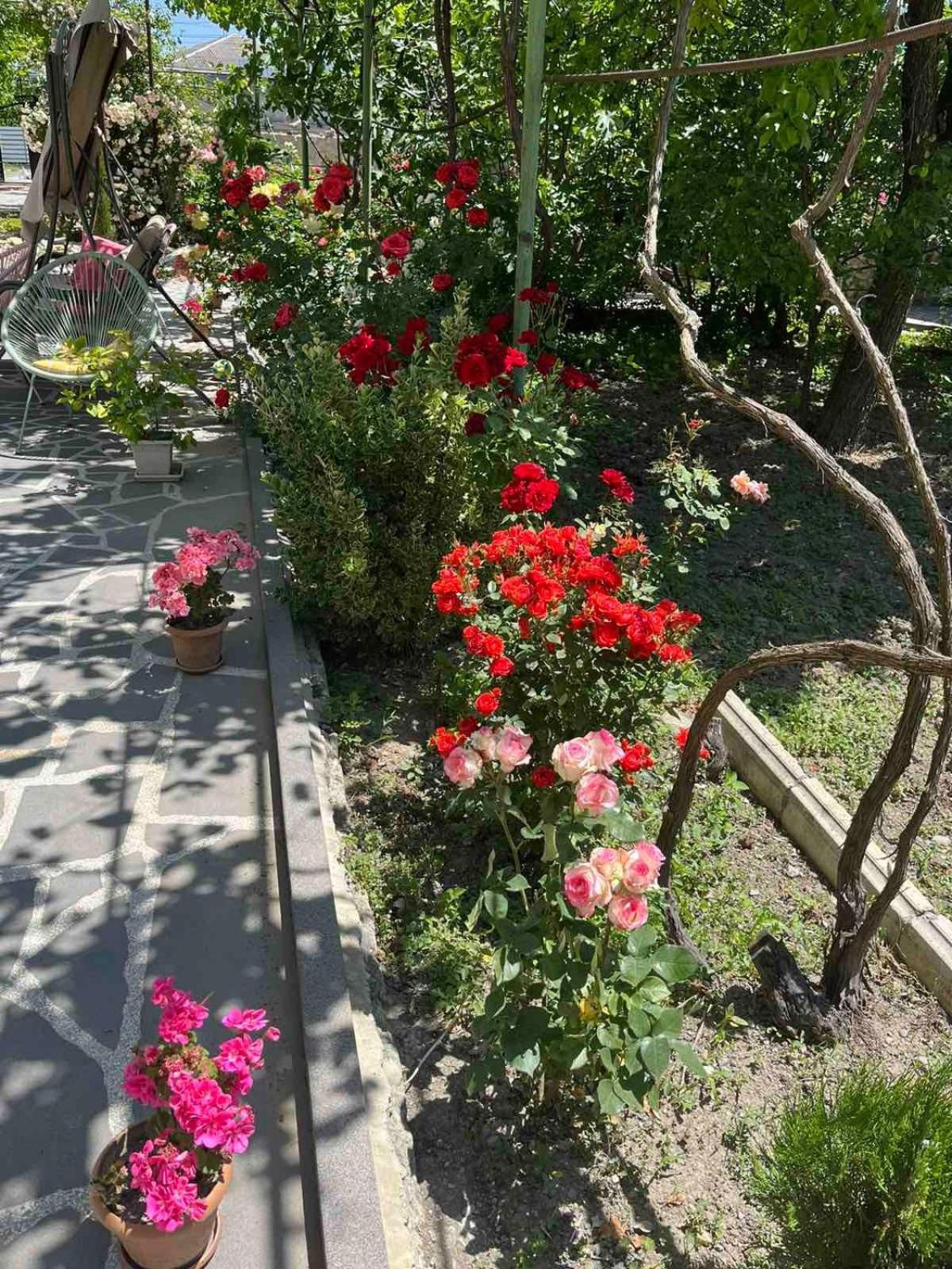 Ekas Rosengarten Gori Exteriör bild
